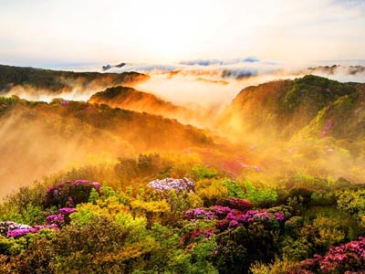 南川金佛山